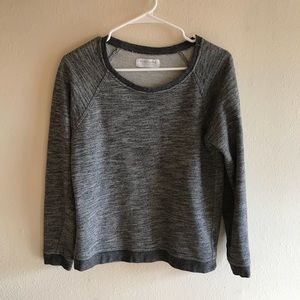 Everlane Sweatshirt